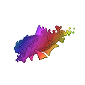 Rainbow Basculegion